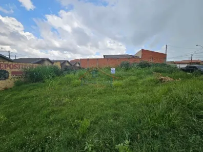 Lote/Terreno para alugar, 389m² no Jardim Cristo Redentor, Ribeirão Preto