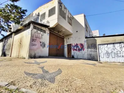 Galpão/Depósito/Armazém à venda, 365m² no Jardim Aurélia, Campinas