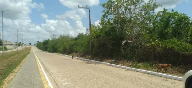 Lote/Terreno à venda, 182800m² no Centro, Poço Branco