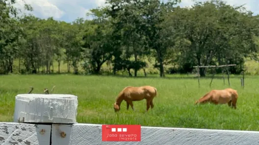 Fazenda/Sítio com 3 Quartos à venda, 968000m² no São Gabriel de Goiás, Planaltina