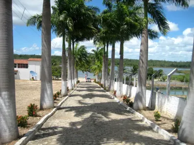 Fazenda/Sítio com 4 Quartos à venda, 8000m² no Centro, São José de Mipibu
