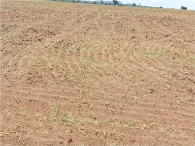 Fazenda/Sítio à venda no , Pontes e Lacerda