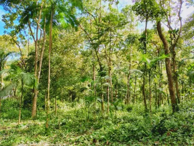 Lote/Terreno à venda, 10000m² no Taquaral, Ubatuba