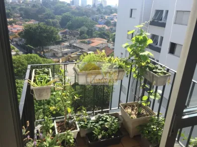 Apartamento com 2 Quartos à venda, 65m² no Vila Progredior, São Paulo
