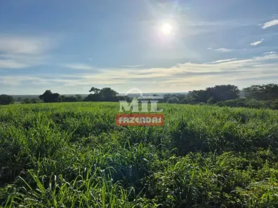 Fazenda/Sítio à venda, 500m² no , São Francisco