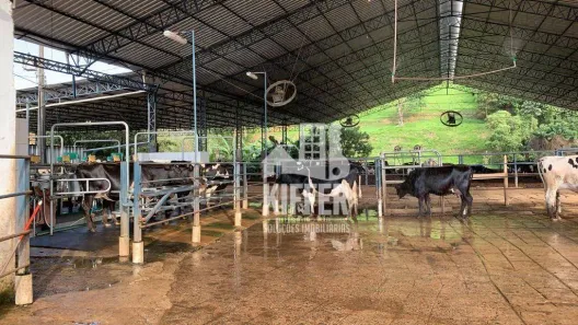Fazenda/Sítio com 6 Quartos à venda, 5000m² no Área Rural de Itajubá, Itajubá