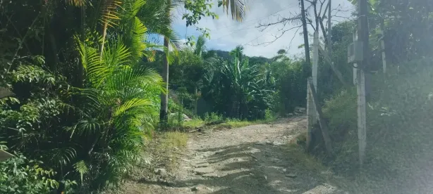 Lote/Terreno à venda, 800m² no Área Rural de Camboriú, Camboriú