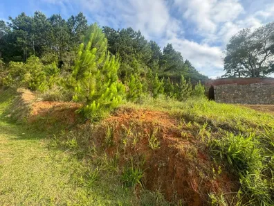 Lote/Terreno à venda, 495m² no Itacorubi, Florianópolis