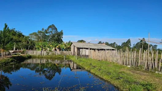 Fazenda/Sítio à venda, 4500m² no Área Rural de Águas Claras, Viamão