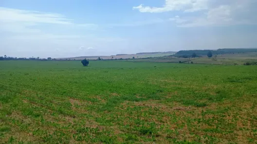Fazenda/Sítio com 3 Quartos à venda, 27000m² no Mato Seco, Água Fria de Goiás