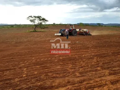 Fazenda/Sítio à venda, 500m² no , Mambaí