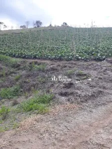 Lote/Terreno à venda, 10000m² no Córrego D'Antas, Nova Friburgo