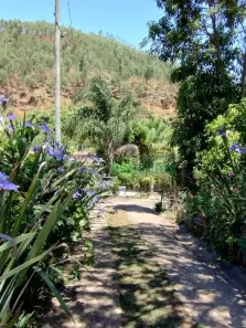 Fazenda/Sítio com 3 Quartos à venda, 100m² no Pirapitinga, Juiz de Fora