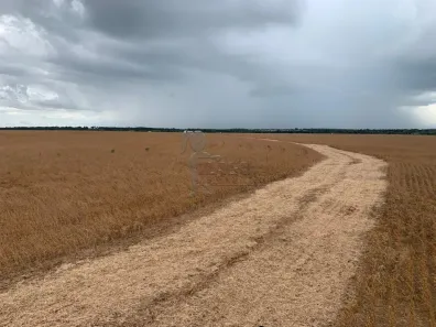 Fazenda/Sítio à venda, 7405000m² no Centro, Talismã