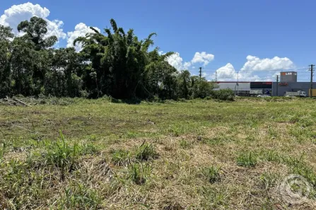 Lote/Terreno para alugar, 7680m² no Aririú da Formiga, Palhoça
