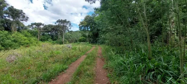 Lote/Terreno à venda, 3013720m² no Pinhal Alto, Nova Petrópolis