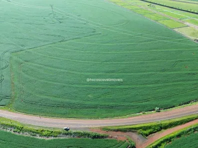 Lote/Terreno à venda, 36300m² no Área Rural de Cascavel, Cascavel