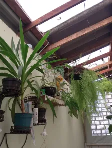 Apartamento com 2 Quartos à venda, 62m² no Petrópolis, Porto Alegre