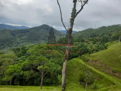 Fazenda/Sítio com 4 Quartos à venda, 250m² no Área Rural de Antônio Carlos, Antônio Carlos