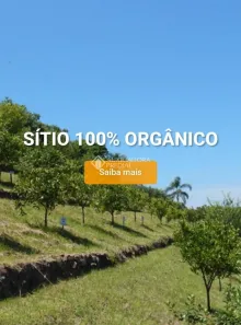 Lote/Terreno à venda, 510m² no Centro, Nova Petrópolis