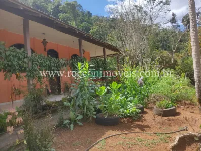 Fazenda/Sítio com 3 Quartos à venda, 50m² no Isabel, Domingos Martins