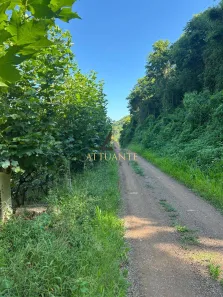 Lote/Terreno à venda, 2m² no São Pedro da Terceira Légua, Caxias do Sul