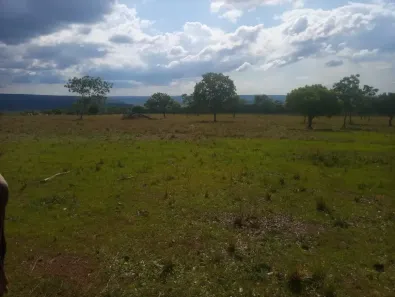 Fazenda/Sítio à venda, 6250000m² no , Riachinho