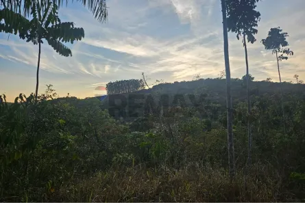 Fazenda/Sítio à venda, 517000m² no , Carmópolis de Minas