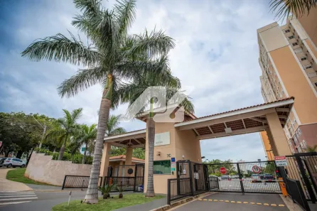 Apartamento com 3 Quartos à venda, 60m² no Vila Satúrnia, Campinas