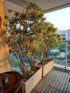 Apartamento com 2 Quartos à venda, 70m² no Barra da Tijuca, Rio de Janeiro