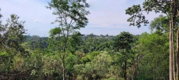 Lote/Terreno à venda, 1027m² no Vista Alegre, Vinhedo