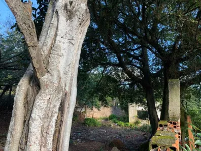 Lote/Terreno à venda, 2650m² no Vila Nova, Porto Alegre