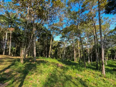 Lote/Terreno à venda, 1631m² no Varginha, Santo Amaro da Imperatriz