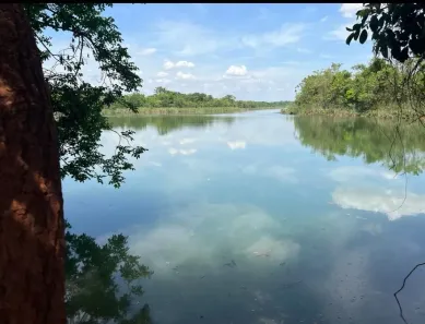 Fazenda/Sítio à venda no Centro, Unaí