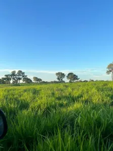 Fazenda/Sítio à venda, 18170000m² no , Miranda