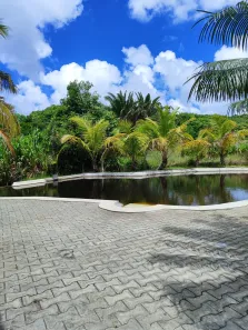 Fazenda/Sítio com 8 Quartos à venda, 800000m² no , Goianinha