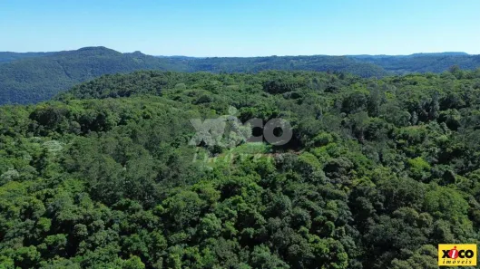Fazenda/Sítio com 1 Quarto à venda, 130000m² no , Nova Petrópolis