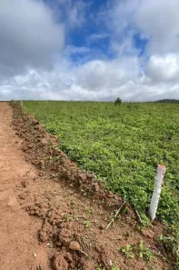 Lote/Terreno à venda, 500m² no Recreio Topázio (Caucaia do Alto), Cotia