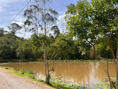 Fazenda/Sítio com 2 Quartos à venda, 8000m² no Serra Alta, São Bento do Sul