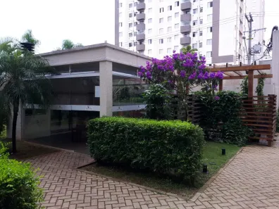 Apartamento com 2 Quartos à venda, 50m² no Vila Antonieta, São Paulo