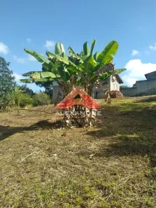 Lote/Terreno à venda, 2366m² no Jardim Santa Maria III, São José dos Campos