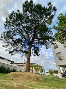Apartamento com 2 Quartos à venda, 65m² no Cachoeira do Bom Jesus, Florianópolis