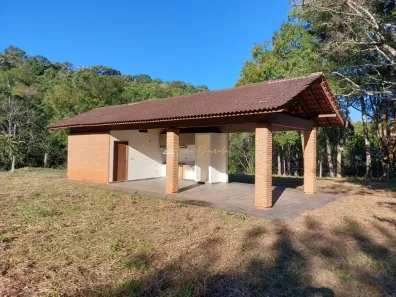 Fazenda/Sítio à venda, 113881m² no , Monteiro Lobato