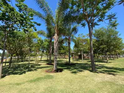 Lote/Terreno à venda, 393m² no Residencial Alto do Castelo, Ribeirão Preto