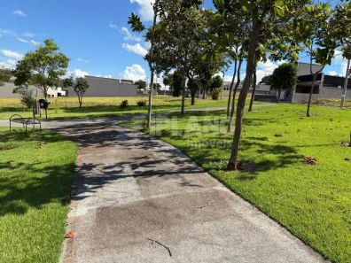 Lote/Terreno à venda, 250m² no Jardim Manoel Penna, Ribeirão Preto