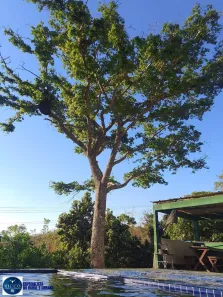 Fazenda/Sítio com 5 Quartos à venda, 1200m² no Centro, Alexânia