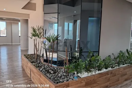 Sala Comercial para alugar, 507m² no Jardim Ribeiro, Valinhos