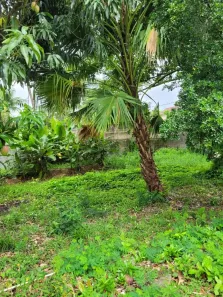 Lote/Terreno à venda, 300m² no Itaipu, Niterói