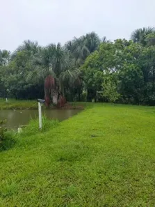 Fazenda/Sítio com 3 Quartos à venda, 387200m² no Fazenda Nova, Fazenda Nova