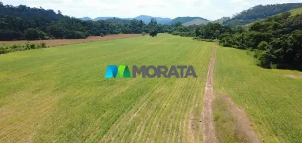 Fazenda/Sítio com 1 Quarto à venda, 183m² no Monte Verde, Juiz de Fora